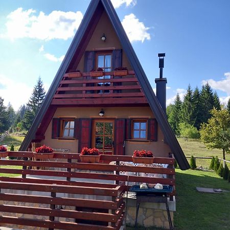 Willa Mountain House Tadić Tara Bajina Basta Zewnętrze zdjęcie