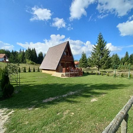 Willa Mountain House Tadić Tara Bajina Basta Zewnętrze zdjęcie