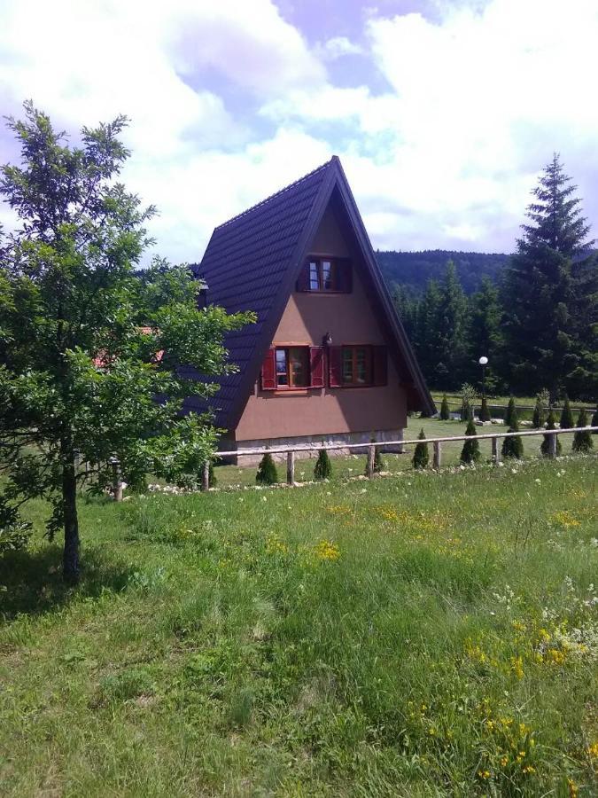 Willa Mountain House Tadić Tara Bajina Basta Zewnętrze zdjęcie
