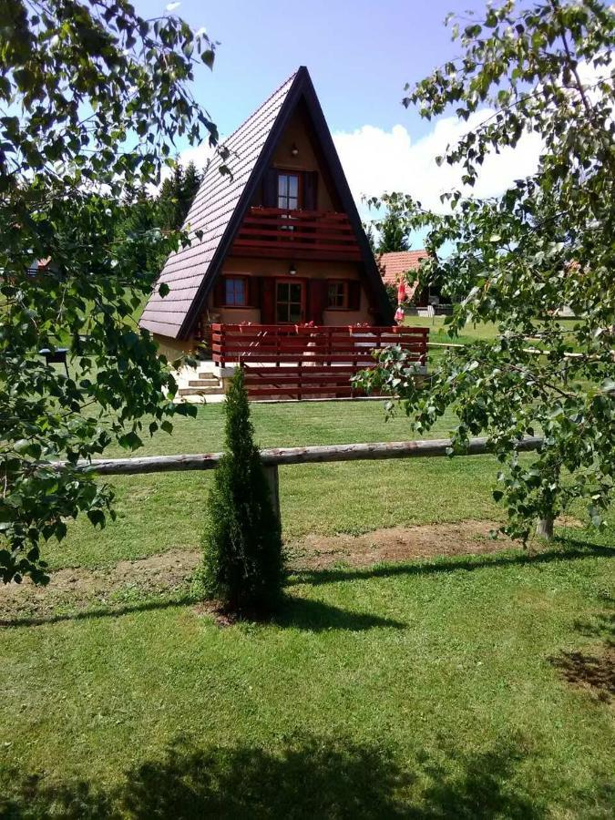 Willa Mountain House Tadić Tara Bajina Basta Zewnętrze zdjęcie