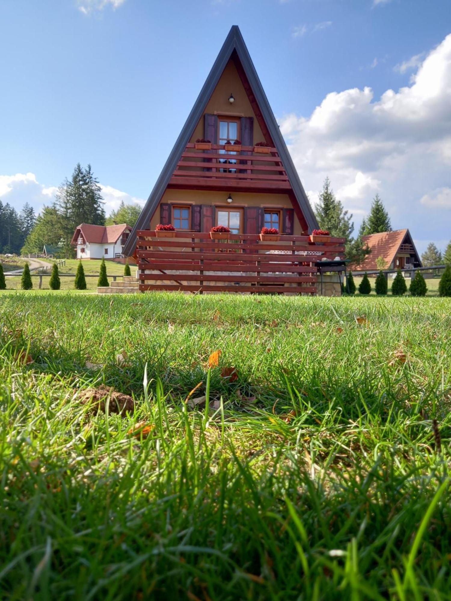 Willa Mountain House Tadić Tara Bajina Basta Zewnętrze zdjęcie