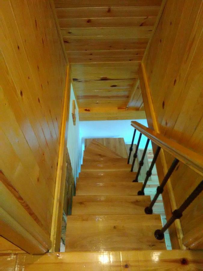 Willa Mountain House Tadić Tara Bajina Basta Zewnętrze zdjęcie