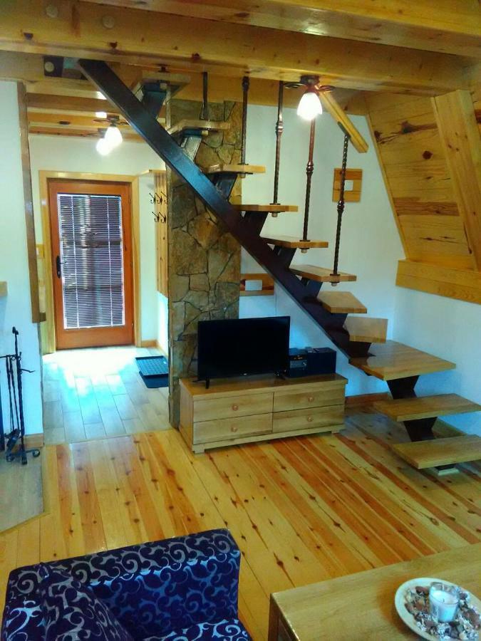 Willa Mountain House Tadić Tara Bajina Basta Zewnętrze zdjęcie