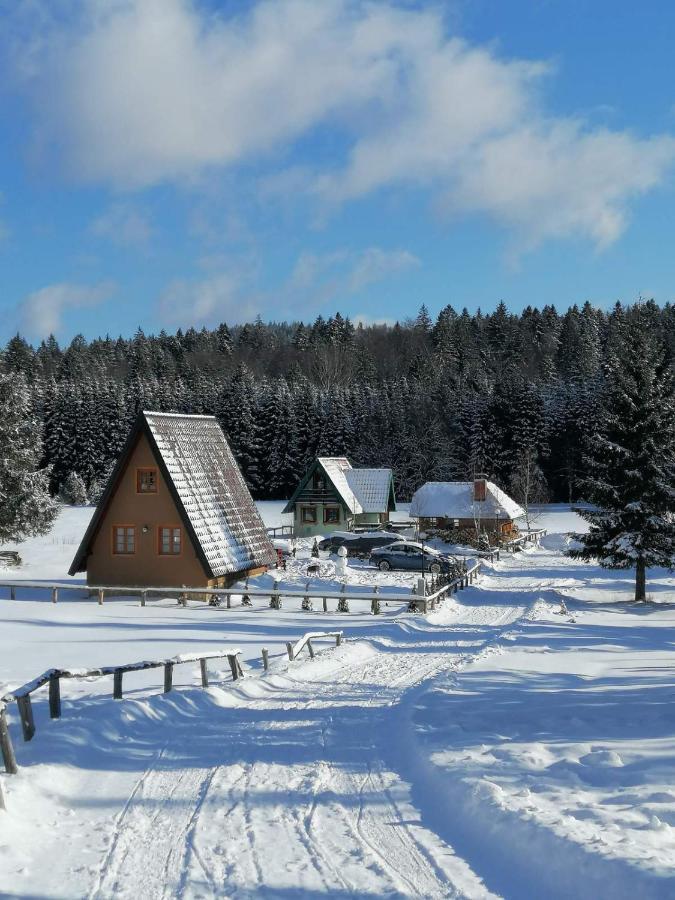 Willa Mountain House Tadić Tara Bajina Basta Zewnętrze zdjęcie