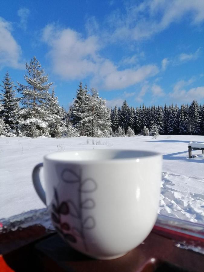 Willa Mountain House Tadić Tara Bajina Basta Zewnętrze zdjęcie