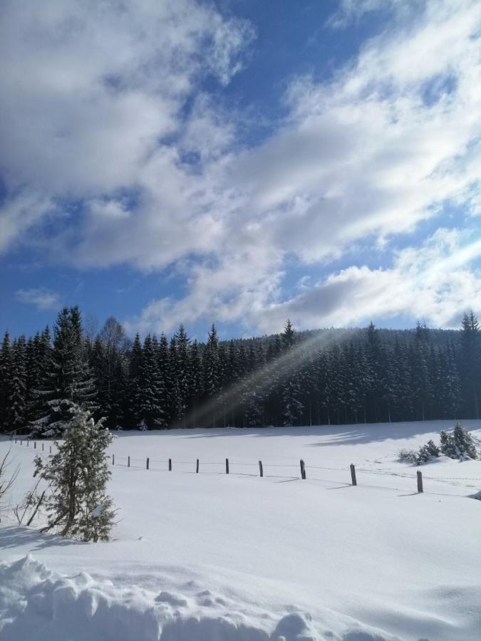 Willa Mountain House Tadić Tara Bajina Basta Zewnętrze zdjęcie