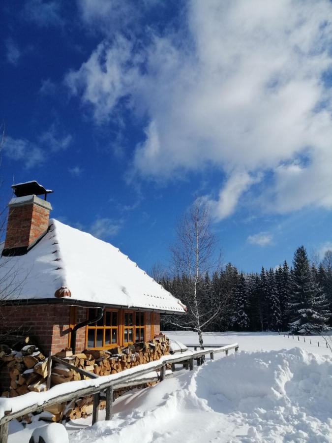 Willa Mountain House Tadić Tara Bajina Basta Zewnętrze zdjęcie