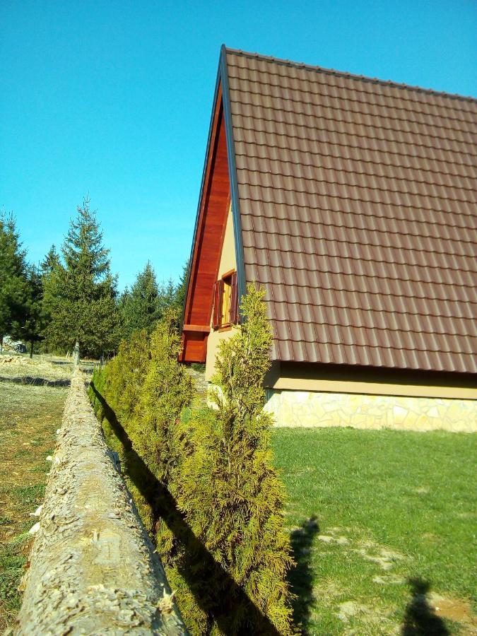 Willa Mountain House Tadić Tara Bajina Basta Zewnętrze zdjęcie
